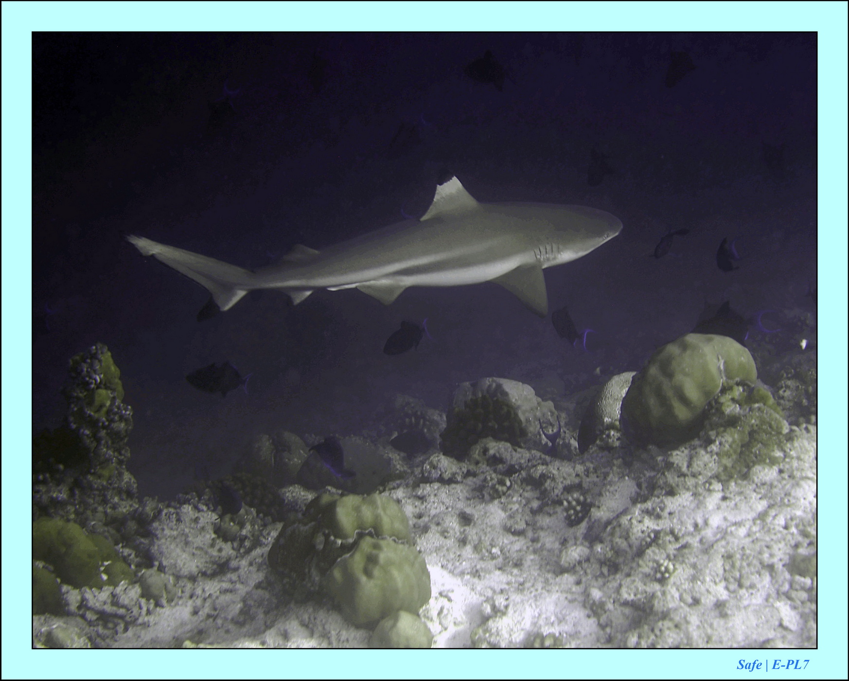 2023 - 07 - Sandies Bathala - 158